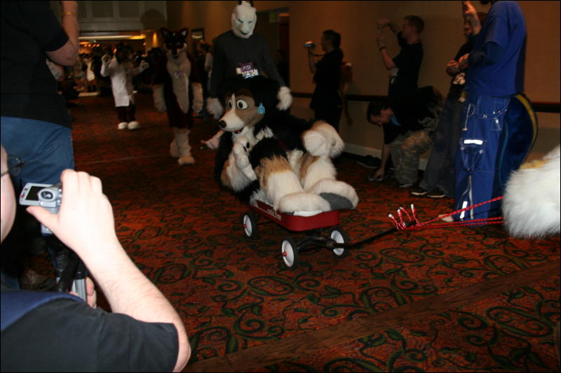 [Furry-K9_FC2008_225.jpg]