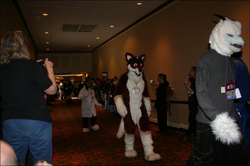 [Furry-K9_FC2008_227.jpg]