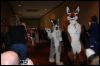 [Furry-K9 FC2008 231]