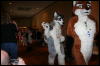 [Furry-K9 FC2008 232]