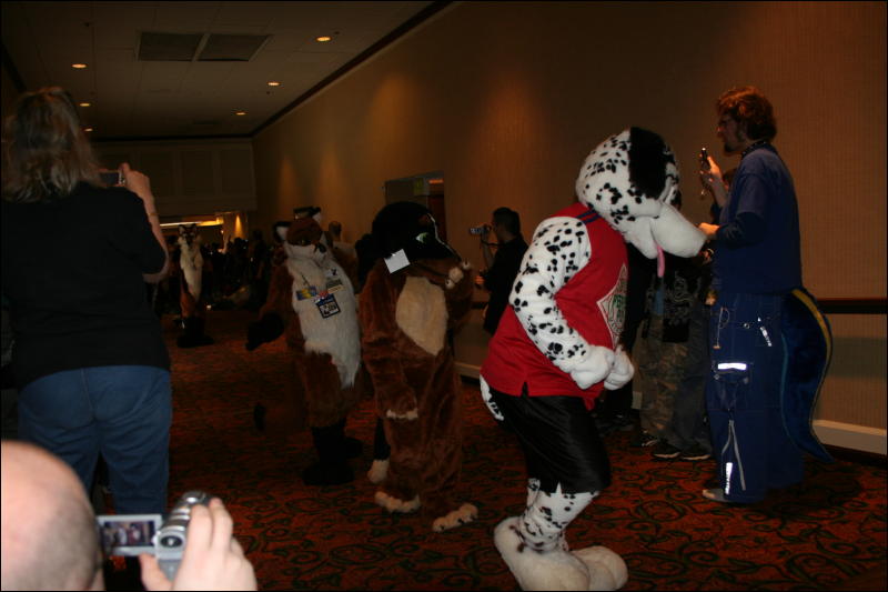 [Furry-K9_FC2008_239.jpg]