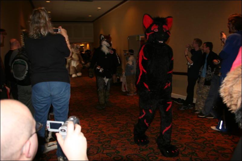 [Furry-K9_FC2008_254.jpg]