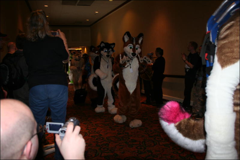 [Furry-K9_FC2008_259.jpg]