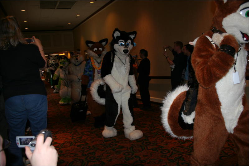 [Furry-K9_FC2008_260.jpg]