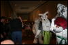 [Furry-K9 FC2008 266]