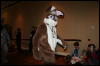 [Furry-K9 FC2008 283]