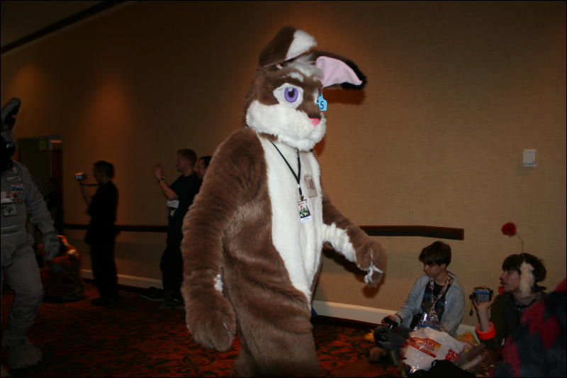 [Furry-K9_FC2008_283.jpg]