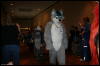 [Furry-K9 FC2008 293]