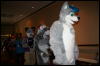 [Furry-K9 FC2008 294]