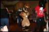 [Furry-K9 FC2008 299]