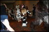 [Furry-K9 FC2008 311]