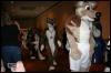 [Furry-K9 FC2008 313]