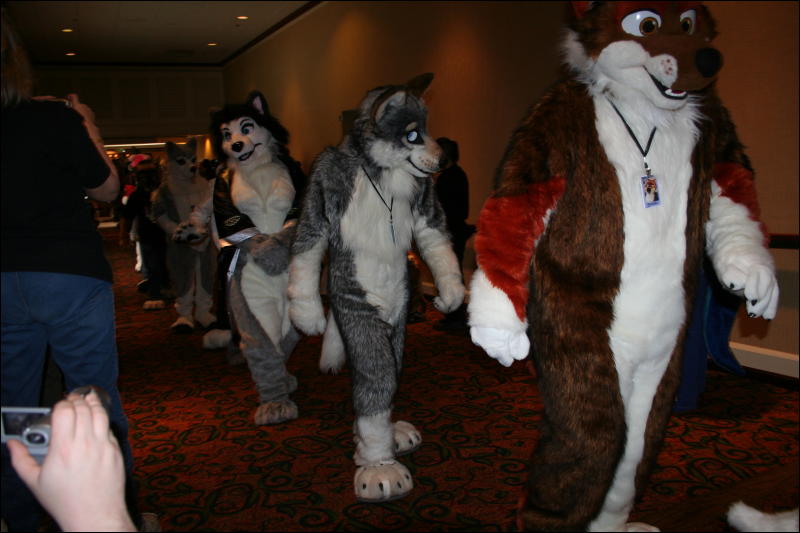 [Furry-K9_FC2008_315.jpg]