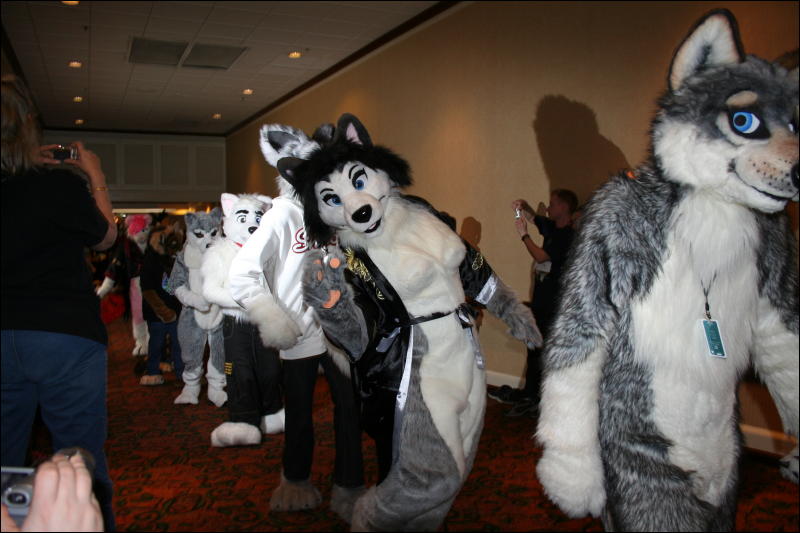 [Furry-K9_FC2008_316.jpg]