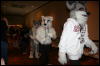 [Furry-K9 FC2008 318]