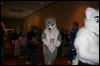 [Furry-K9 FC2008 319]