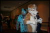 [Furry-K9 FC2008 332]