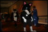 [Furry-K9 FC2008 342]