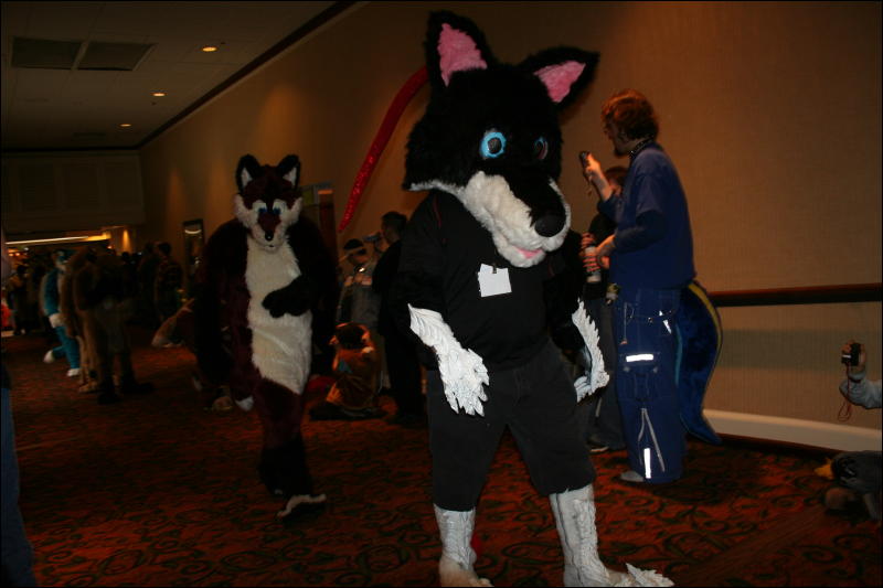 [Furry-K9_FC2008_342.jpg]