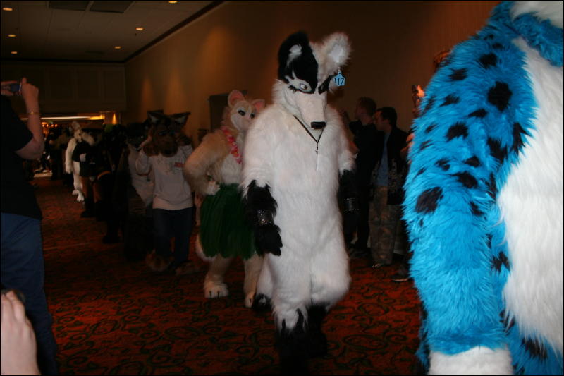 [Furry-K9_FC2008_348.jpg]