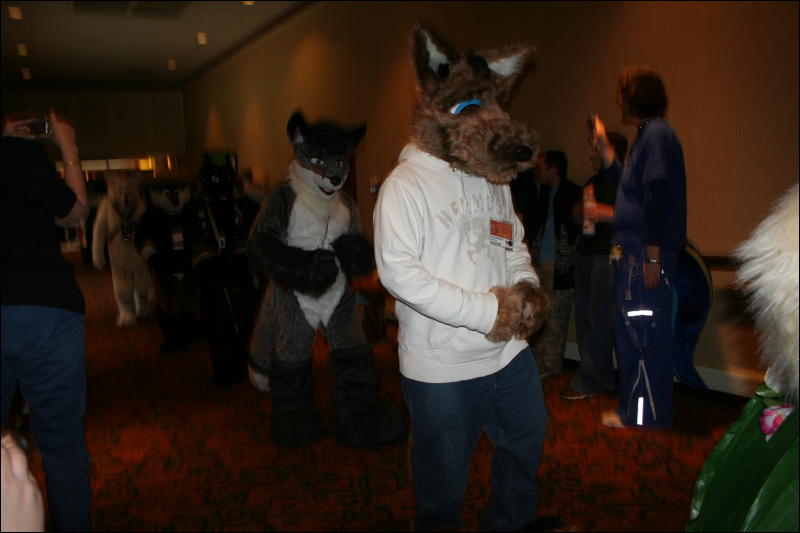 [Furry-K9_FC2008_350.jpg]