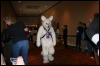 [Furry-K9 FC2008 354]