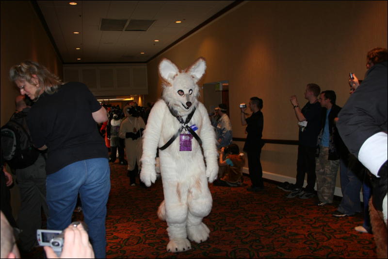 [Furry-K9_FC2008_354.jpg]