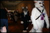 [Furry-K9 FC2008 355]