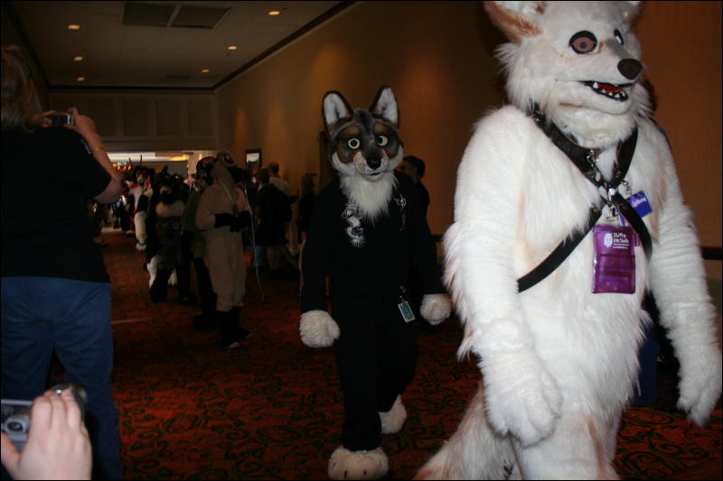 [Furry-K9_FC2008_355.jpg]