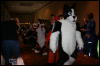 [Furry-K9 FC2008 360]