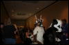 [Furry-K9 FC2008 365]