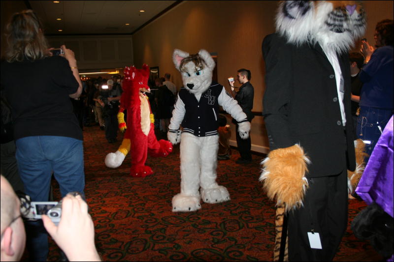 [Furry-K9_FC2008_382.jpg]