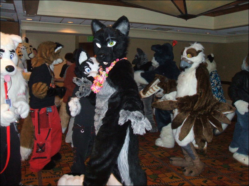 [BrownWolf_FC2009_359.jpg]