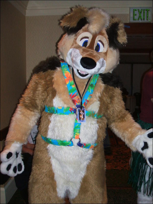 [BrownWolf_FC2009_362.jpg]