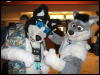 [BrownWolf FC2009 062]