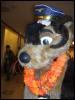 [BrownWolf FC2009 067]