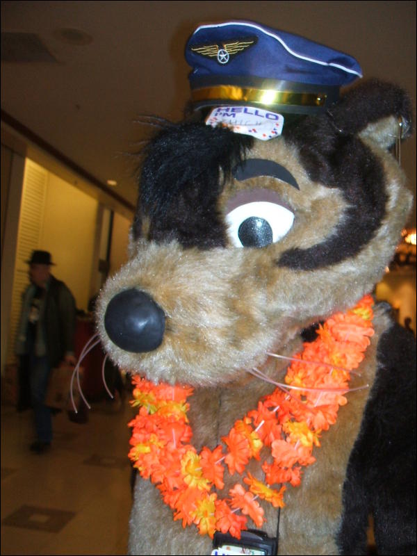 [BrownWolf_FC2009_067.jpg]