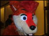 [BrownWolf FC2009 072]