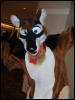 [BrownWolf FC2009 075]