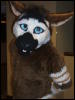 [BrownWolf FC2009 076]