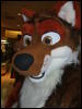 [BrownWolf FC2009 083]