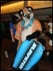 [BrownWolf FC2009 087]