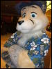 [BrownWolf FC2009 090]