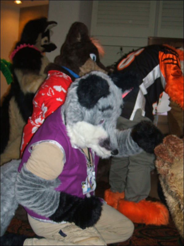 [BrownWolf_FC2009_092.jpg]