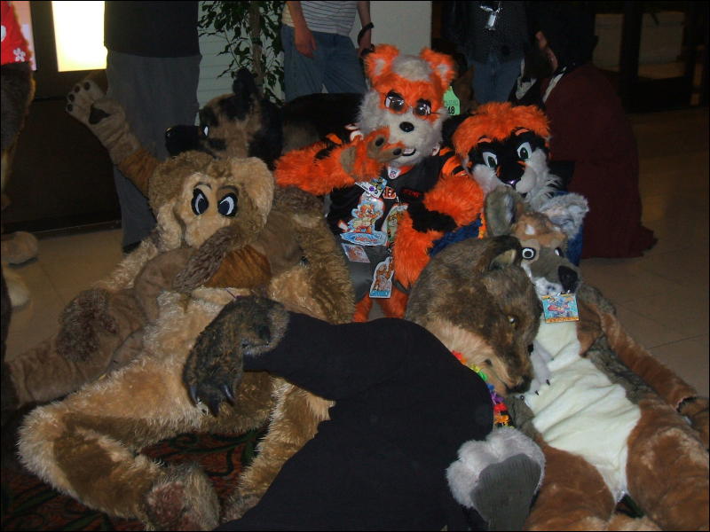 [BrownWolf_FC2009_093.jpg]