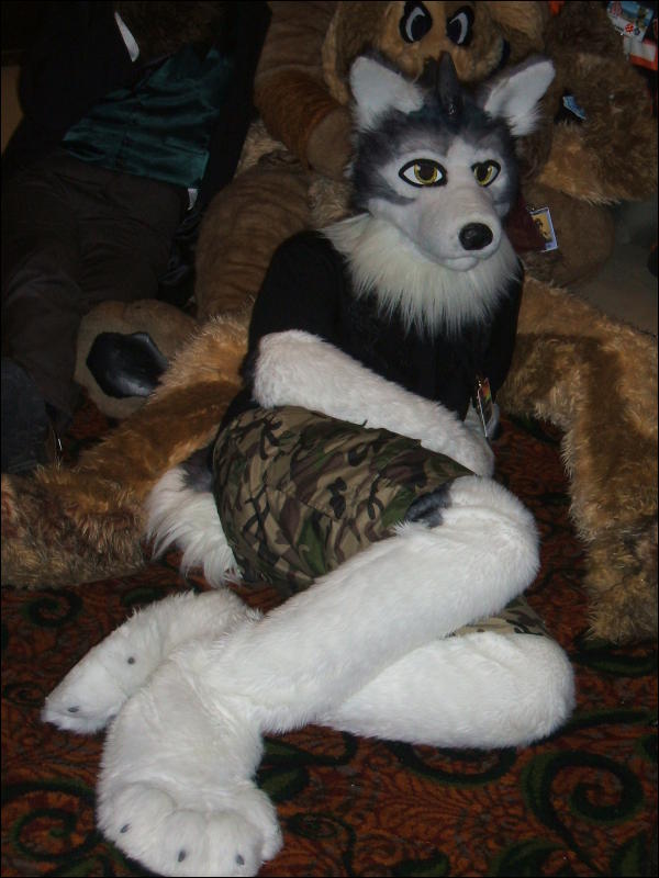 [BrownWolf_FC2009_095.jpg]