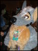 [BrownWolf FC2009 100]