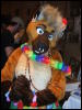 [BrownWolf FC2009 107]