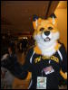 [BrownWolf FC2009 130]