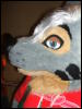 [BrownWolf FC2009 133]